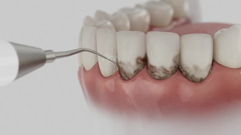Reliable Dental contractor in Marion County County, WV by Dentist Open Now